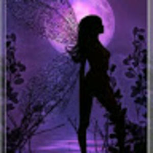 Meet your Posher, Sandy